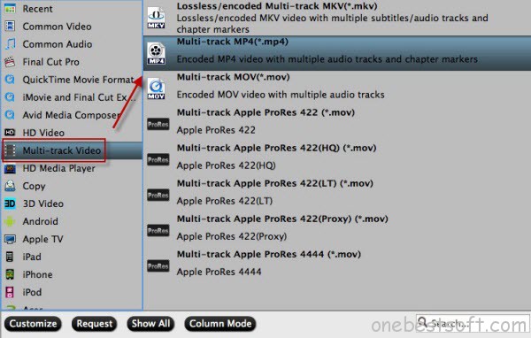 Multi-track MP4 format