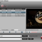 download the new version for apple HitPaw Video Converter 3.0.4